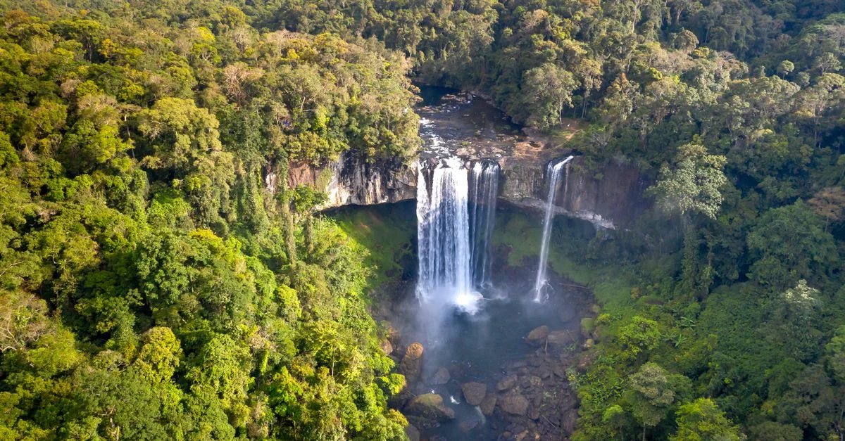 Superbe prise de vue aérienne d'une majestueuse chute d'eau entourée d'une dense forêt verte, créant un paysage naturel à couper le souffle.