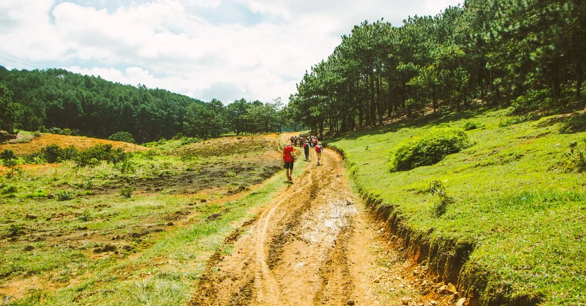 Groupe de randonneurs marchant le long d'un sentier pittoresque à Lâm Đồng, au Vietnam, entouré d'une forêt verdoyante luxuriante.