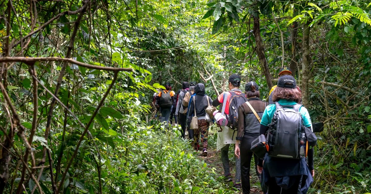 Un groupe diversifié de randonneurs explore un sentier forestier tropical, entouré d'une végétation luxuriante.