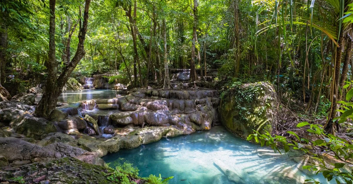 Découvrez la beauté sereine d'une forêt tropicale thaïlandaise luxuriante avec des chutes d'eau époustouflantes se déversant dans des bassins tranquilles.